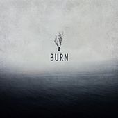 Thumbnail for the 4lienetic - Burn link, provided by host site