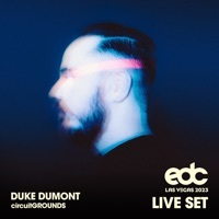 Thumbnail for the Skin on skin - Burn Dem Bridges (Duke Dumont Remix) [Mixed] link, provided by host site