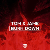 Thumbnail for the Tom & Jame - Burn Down link, provided by host site