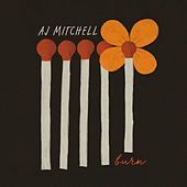 Thumbnail for the AJ Mitchell - Burn link, provided by host site