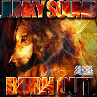 Thumbnail for the Junky Sound - Burn Out link, provided by host site