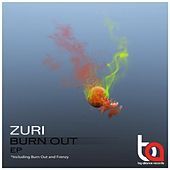 Thumbnail for the Zuri - Burn Out link, provided by host site