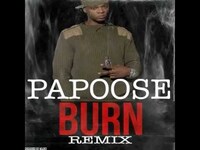 Thumbnail for the Papoose - BURN REMIX link, provided by host site