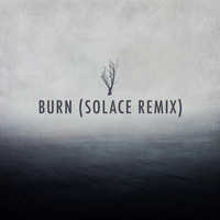 Thumbnail for the 4lienetic - Burn (Solace Music Remix) link, provided by host site