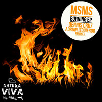 Thumbnail for the MSMS - Burning link, provided by host site