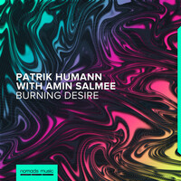 Thumbnail for the Patrik Humann - Burning Desire link, provided by host site
