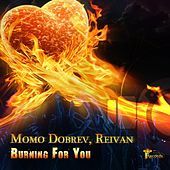 Thumbnail for the Momo Dobrev - Burning For You link, provided by host site