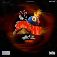 Thumbnail for the Rayleen - Burning Mind Remix [Remix] link, provided by host site