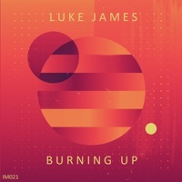 Thumbnail for the Luke James - Burning Up link, provided by host site