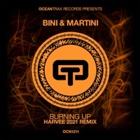 Thumbnail for the Bini - Burning Up (harvee 2021 Remix) link, provided by host site