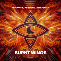 Thumbnail for the Ragunde - Burnt Wings link, provided by host site