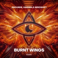 Thumbnail for the Ragunde - Burnt Wings link, provided by host site