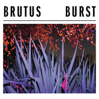 Thumbnail for the Brutus - Burst link, provided by host site