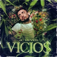 Thumbnail for the JC Reyes - Buscando la vida link, provided by host site