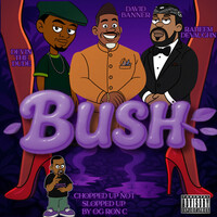 Thumbnail for the David Banner - Bush (Chopnotslop Remix) link, provided by host site