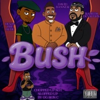 Thumbnail for the David Banner - Bush (Chopnotslop Remix) link, provided by host site