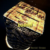 Image of David Cross linking to their artist page due to link from them being at the top of the main table on this page