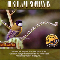 Thumbnail for the David Stewart - Bushland Sopranos link, provided by host site