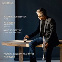 Thumbnail for the Heinz Karl Gruber - Busking: III. Allegro link, provided by host site