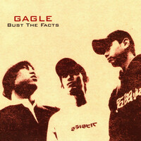 Thumbnail for the Gagle - BUST THE FACTS link, provided by host site