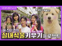 Thumbnail for the Busters - [와이낫미] 버스터즈(Busters)와 함께하는 실내식물키우기🌱 프로젝트! I EP.10 link, provided by host site