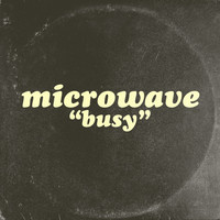 Image of Microwave linking to their artist page due to link from them being at the top of the main table on this page
