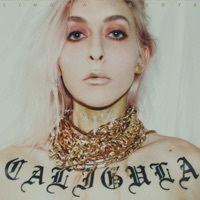 Thumbnail for the Lingua Ignota - Butcher of the World link, provided by host site