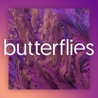 Thumbnail for the Sorcha Richardson - Butterflies link, provided by host site