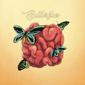 Thumbnail for the Dane Amar - Butterflies link, provided by host site