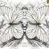 Thumbnail for the Abu - Butterflies Fly in Pairs link, provided by host site