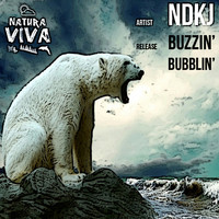 Thumbnail for the NDKj - Buzzin' Bubblin' link, provided by host site