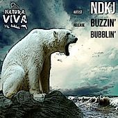 Thumbnail for the NDKj - Buzzin' Bubblin' link, provided by host site