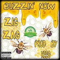 Thumbnail for the Zig-Zag - Buzzin' Now link, provided by host site