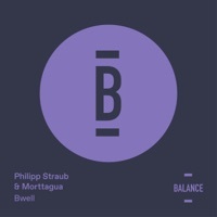 Thumbnail for the Philipp Straub - Bwell link, provided by host site