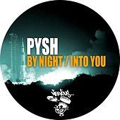 Thumbnail for the Pysh - By Night / Into You link, provided by host site