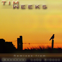 Thumbnail for the Tim Weeks - C'mon Sugar link, provided by host site