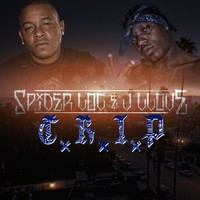 Image of Spider Loc linking to their artist page due to link from them being at the top of the main table on this page