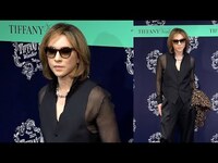 Thumbnail for the YOSHIKI - 、ヒョウ柄ジャケット片手に透けシャツ姿で登場　『ティファニー ワンダー』オープニングイベント link, provided by host site