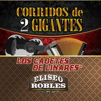 Thumbnail for the Los Cadetes de Linares - Caballo de Pancho Villa link, provided by host site