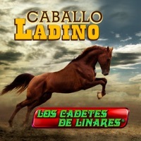 Thumbnail for the Los Cadetes de Linares - Caballo Ladino link, provided by host site