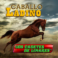 Thumbnail for the Los Cadetes de Linares - Caballo Ladino link, provided by host site
