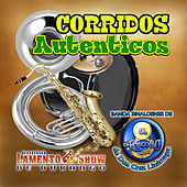 Thumbnail for the Banda El Recodo - Caballo Prieto Azabache link, provided by host site