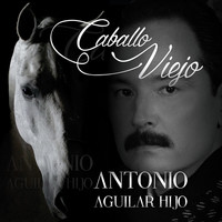 Thumbnail for the Antonio Aguilar - Caballo Viejo link, provided by host site