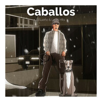Thumbnail for the El Sueño - Caballos link, provided by host site