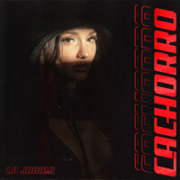 Thumbnail for the La Joaqui - Cachorro link, provided by host site