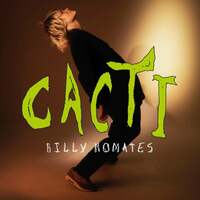 Thumbnail for the Billy No Mates - CACTI link, provided by host site