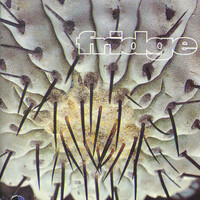 Thumbnail for the Fridge - Cactus link, provided by host site