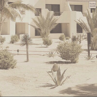 Thumbnail for the Evan - Cactus link, provided by host site