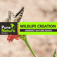 Thumbnail for the George Walker - Cactus Carolina Wren link, provided by host site