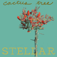 Thumbnail for the Stellar - Cactus Tree link, provided by host site